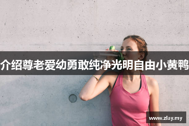 介绍尊老爱幼勇敢纯净光明自由小黄鸭